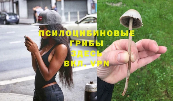 МДМА Няндома