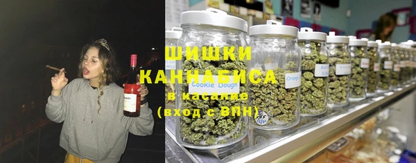 ПСИЛОЦИБИНОВЫЕ ГРИБЫ Грязовец