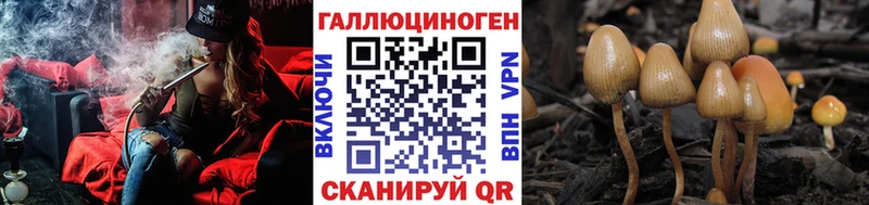 Псилоцибиновые грибы мицелий  hydra ТОР  Старица 